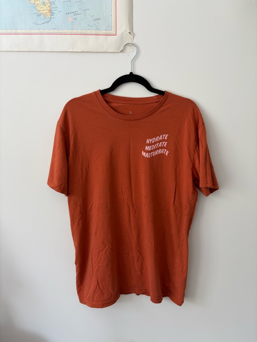 Rust Orange Graphic Crewneck T‑Shirt - Hydrate Meditate